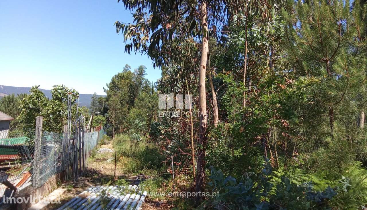 Terreno para venda, Gondarém, Vila Nova de Cerveira - Grande imagem: 5/15