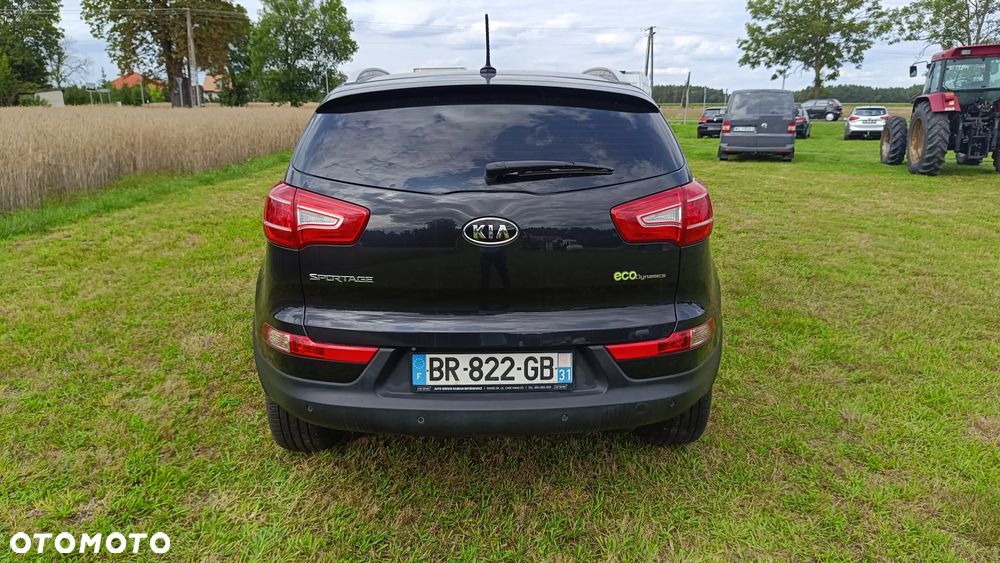 Kia Sportage - 6
