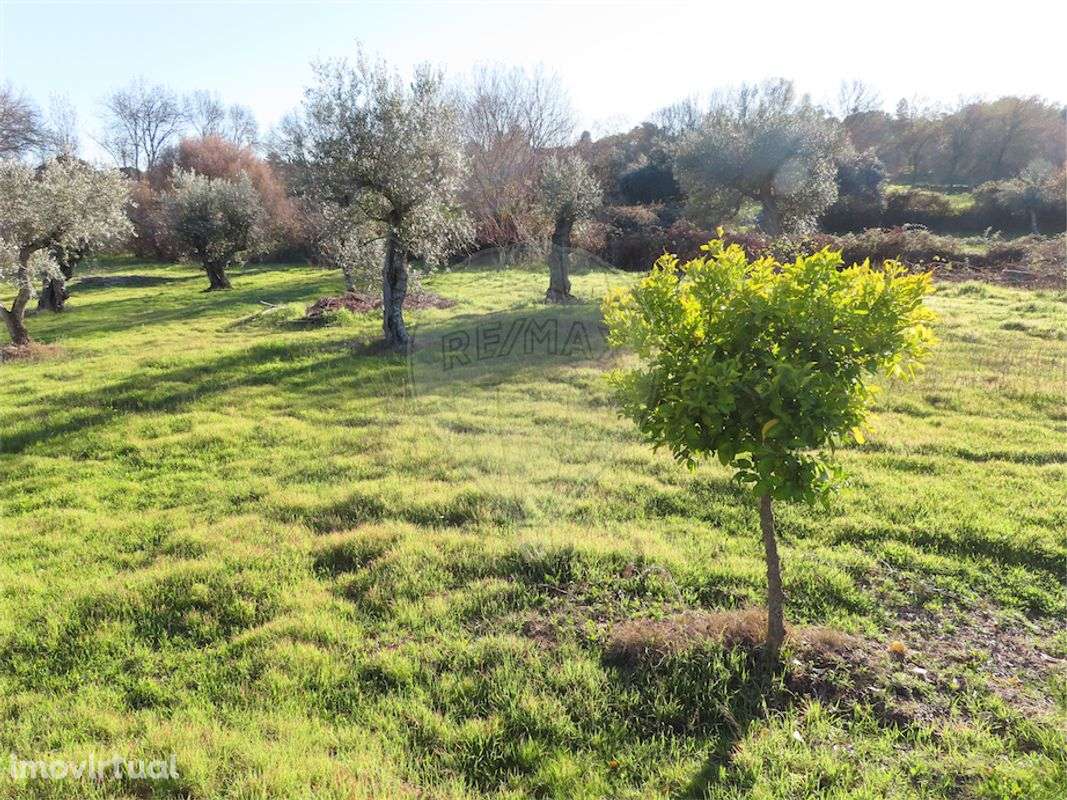 Quinta  para venda - Grande imagem: 4/35