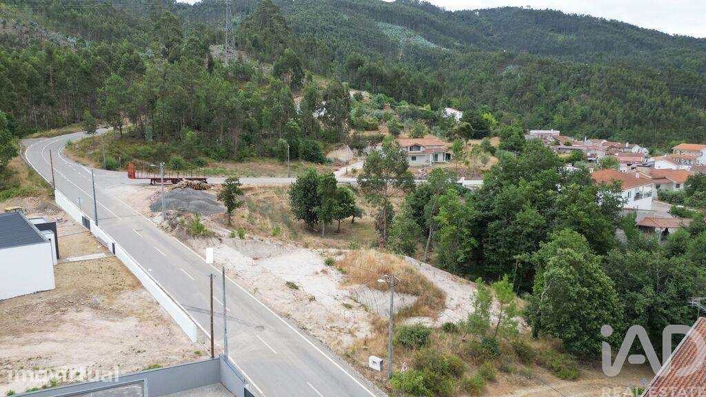 Terreno Agrícola em São Miguel, Santa Eufémia e Rabaçal - Grande imagem: 4/22