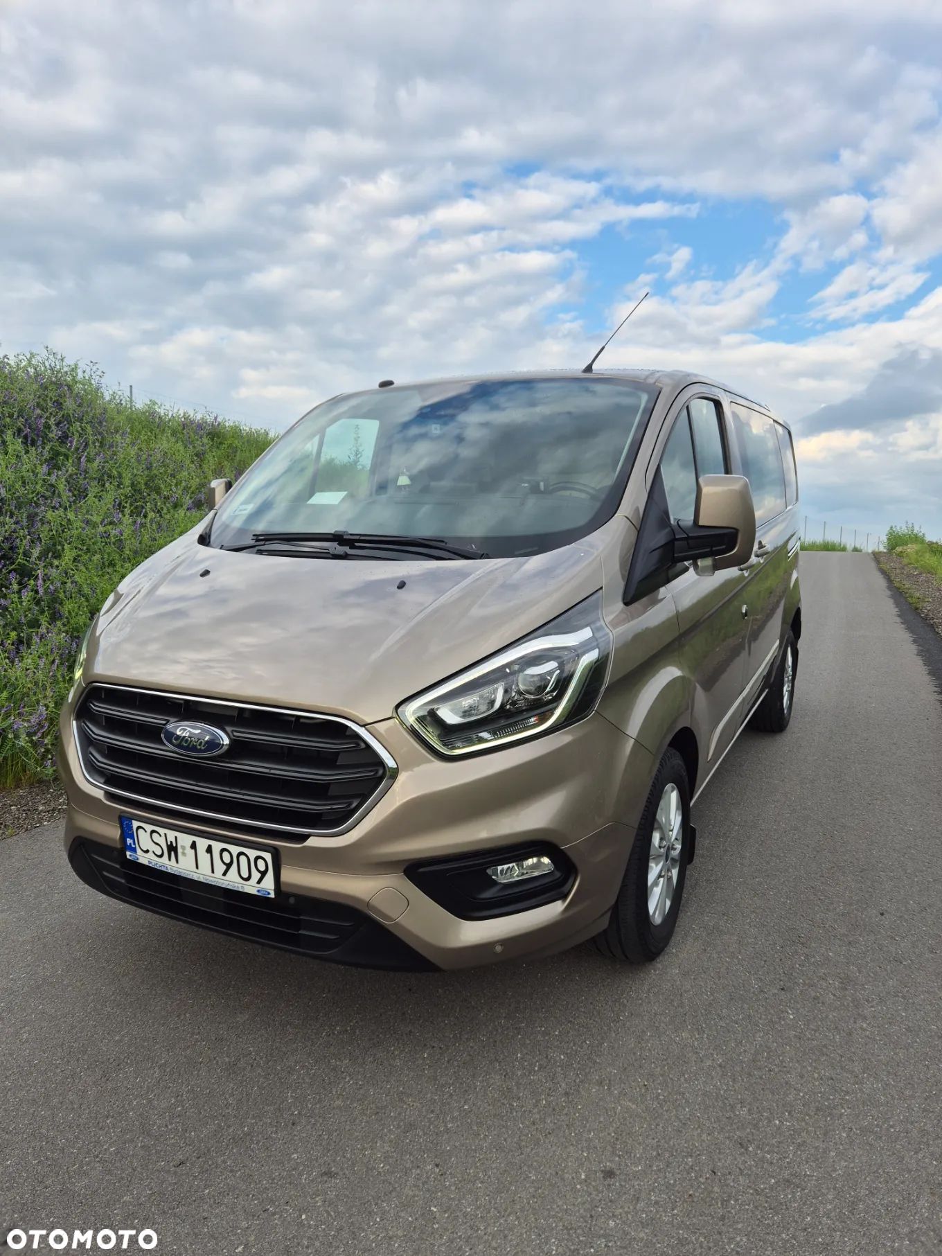 Ford Transit Custom - 1