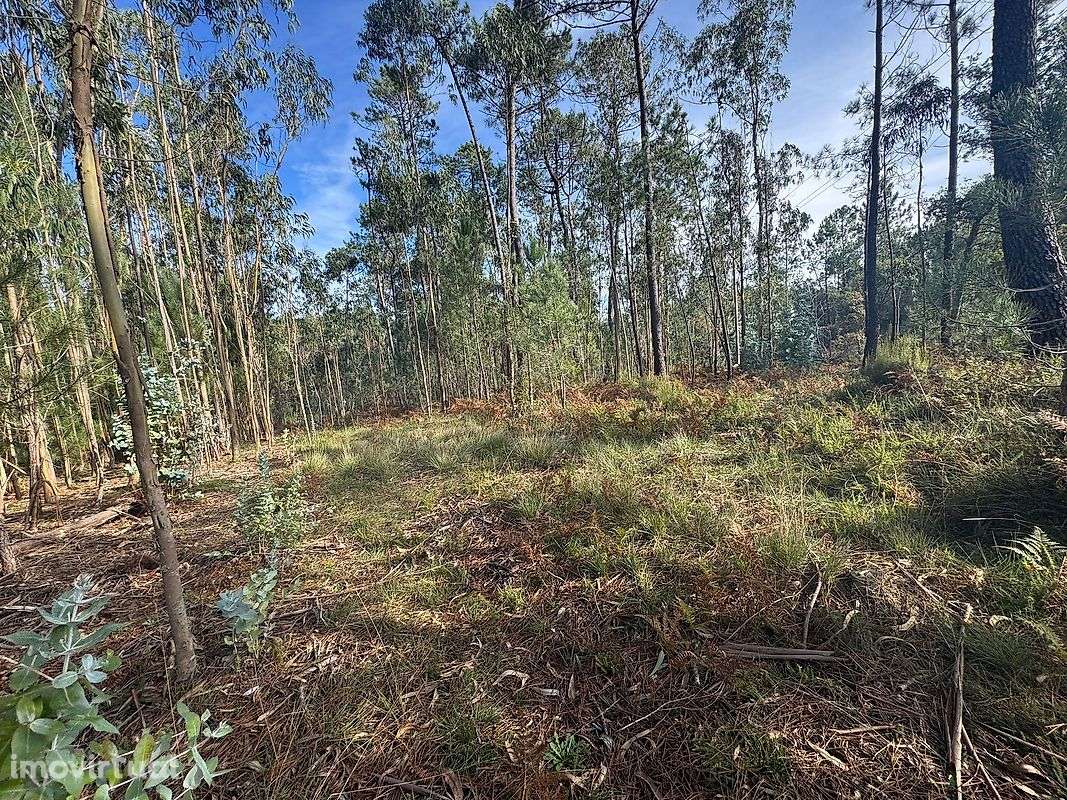 Terreno  para venda - Grande imagem: 2/5