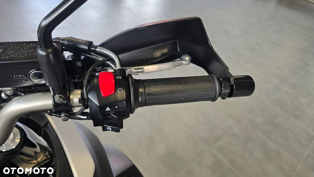 Suzuki V-STROM - 10