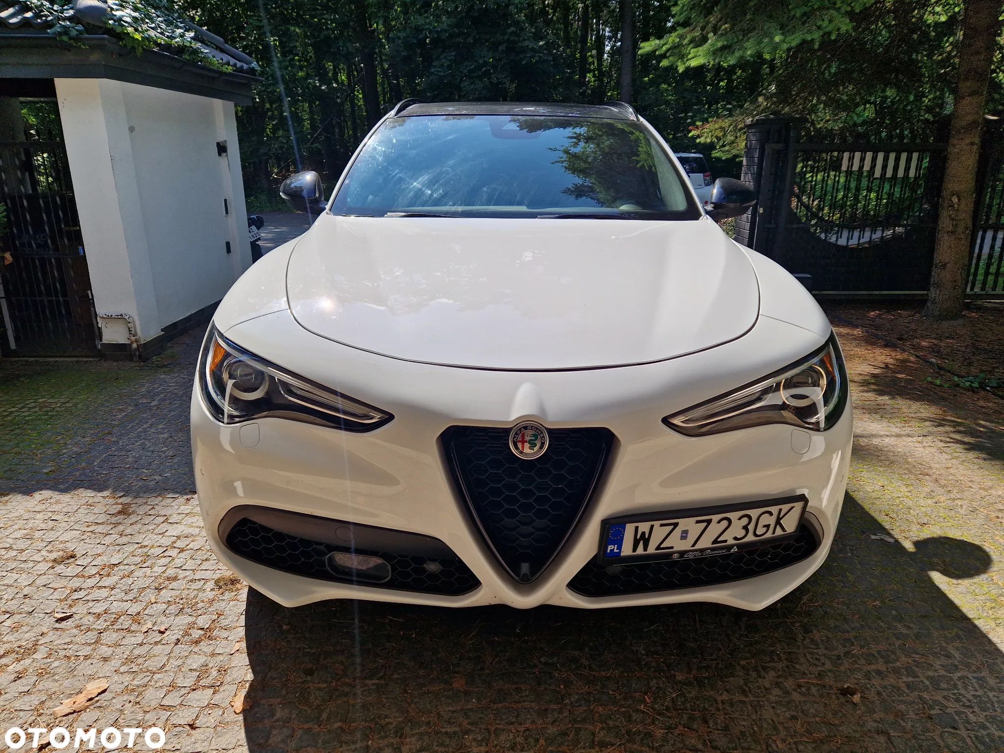 Alfa Romeo Stelvio 2.0 Turbo 16V AT8-Q4 Veloce - 1