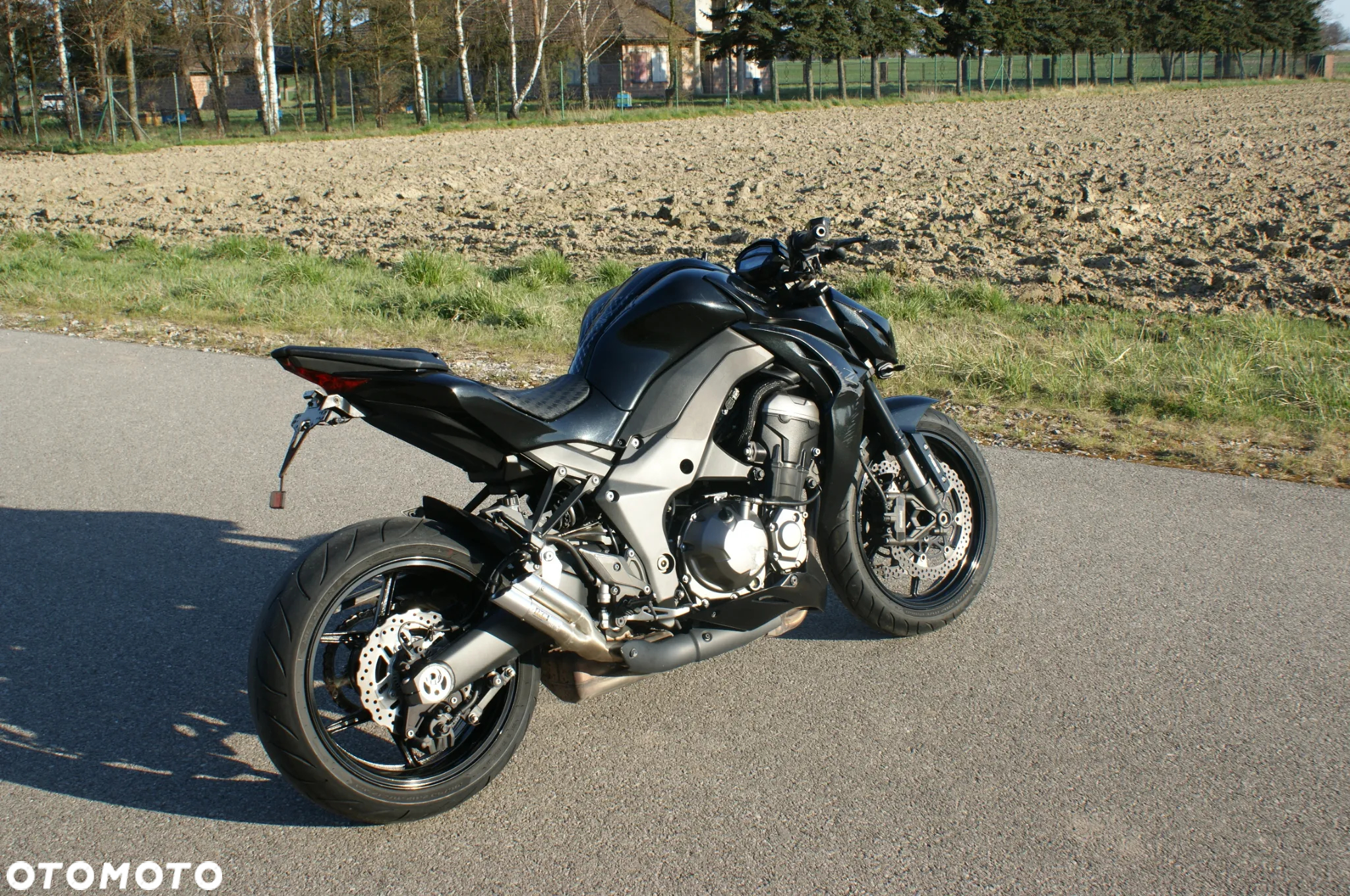 Kawasaki Z - 6