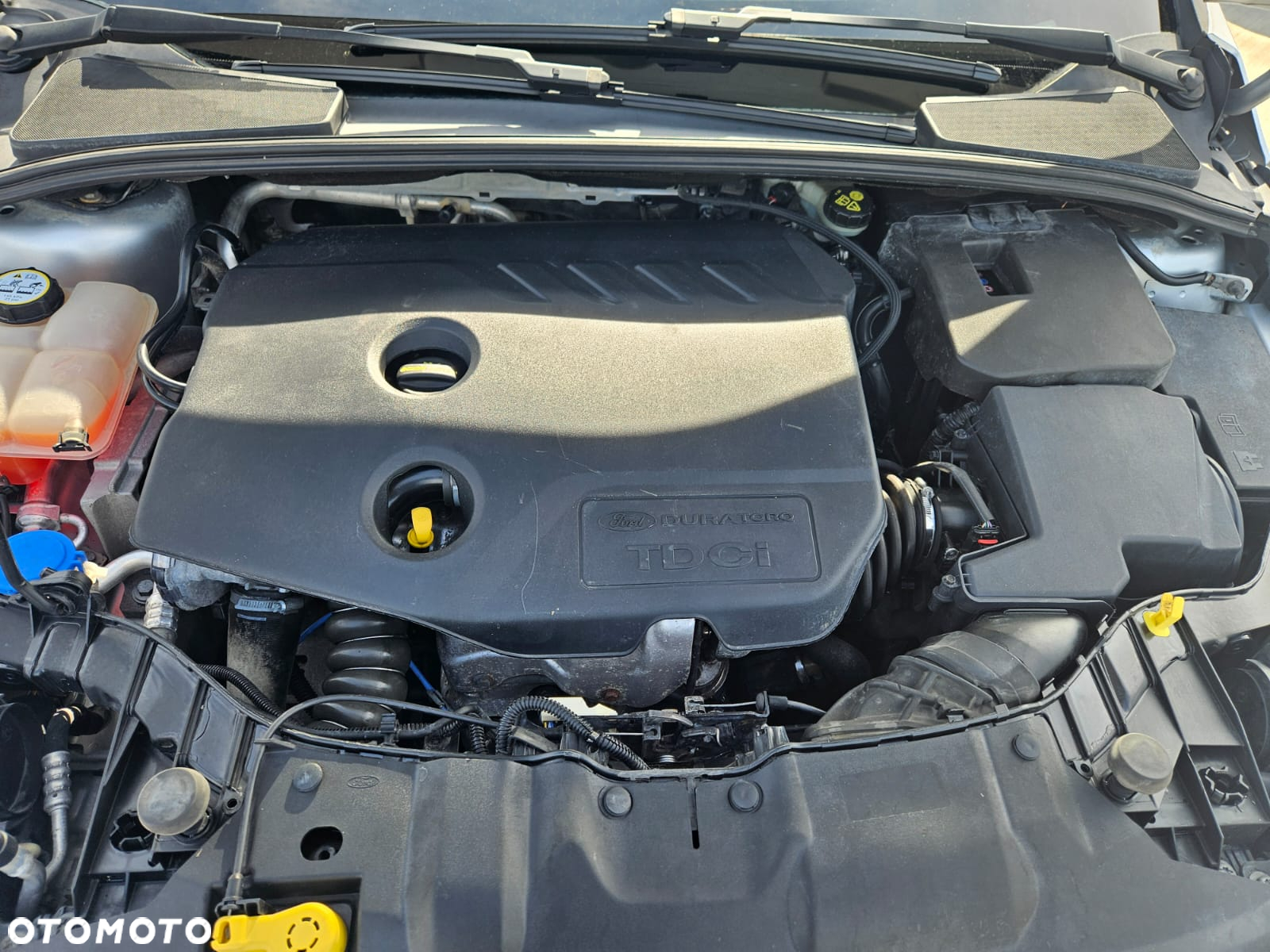 Ford Focus 1.6 TDCi DPF Start-Stopp-System Trend - 12