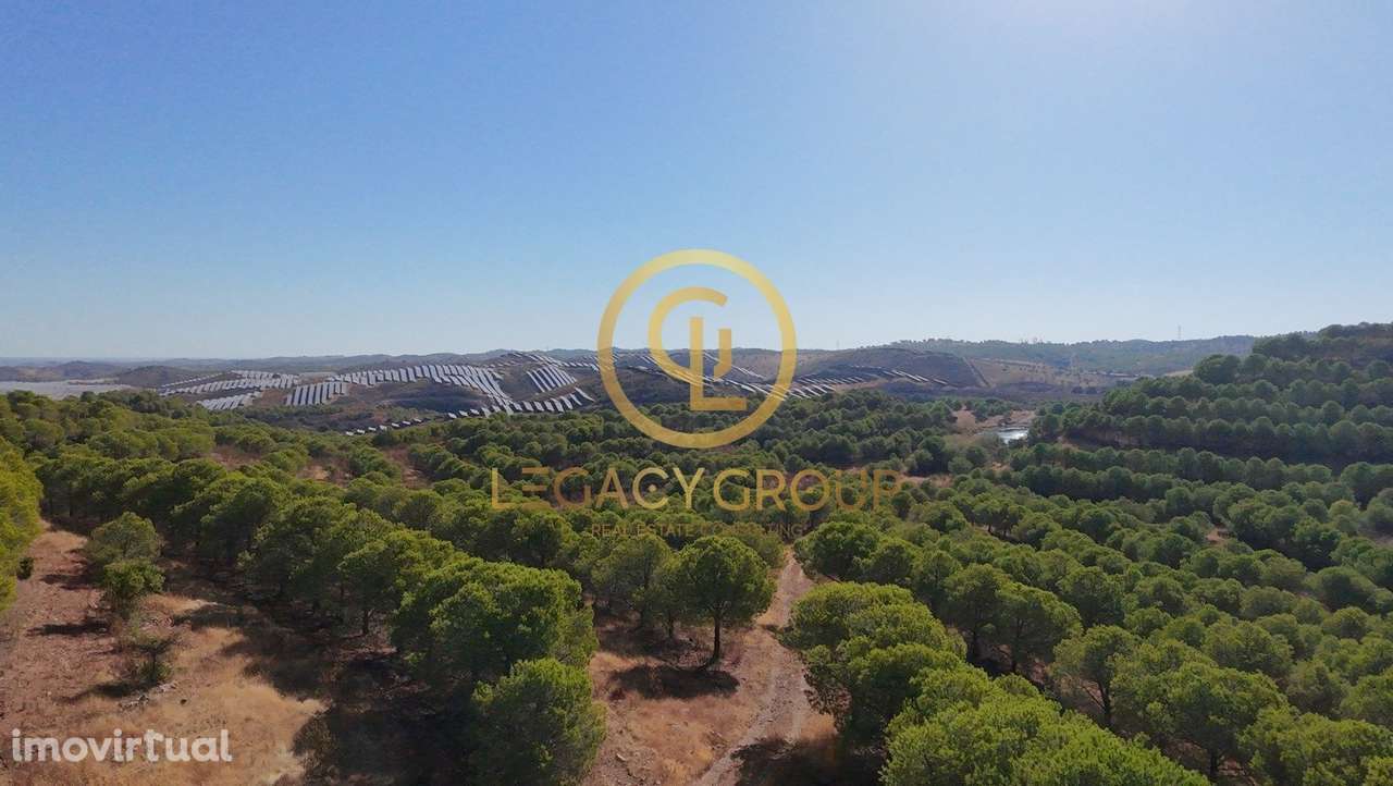Venda conjunta de 2 terrenos com quase 5 hectares de área total - V... - Grande imagem: 2/12