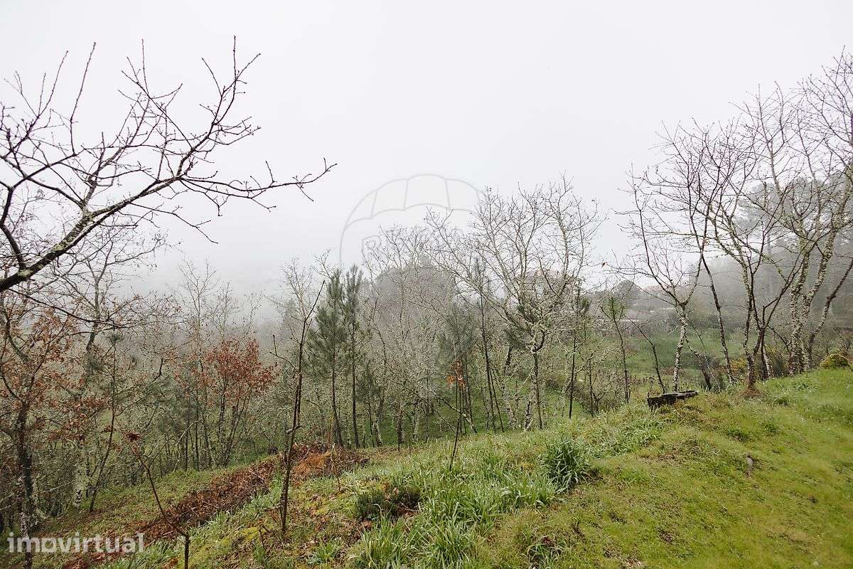Terreno  para venda - Grande imagem: 2/27