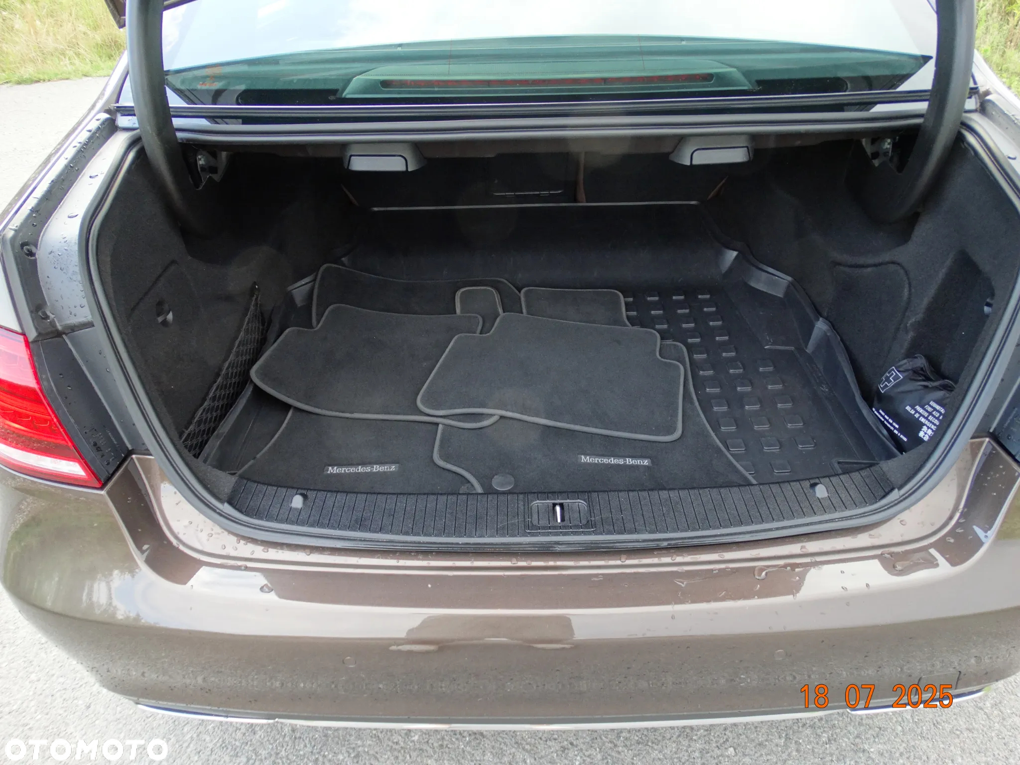 Mercedes-Benz Klasa E 250 BlueTEC 4-Matic Avantgarde - 14