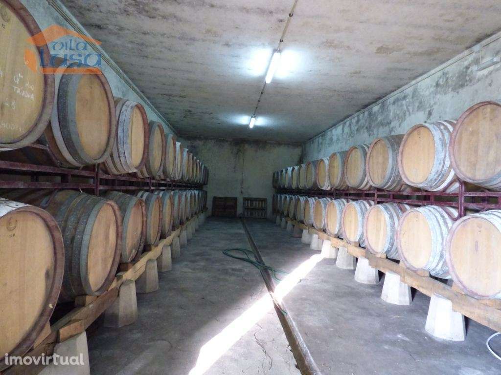 Quinta no Douro de excelente qualidade - Grande imagem: 2/14