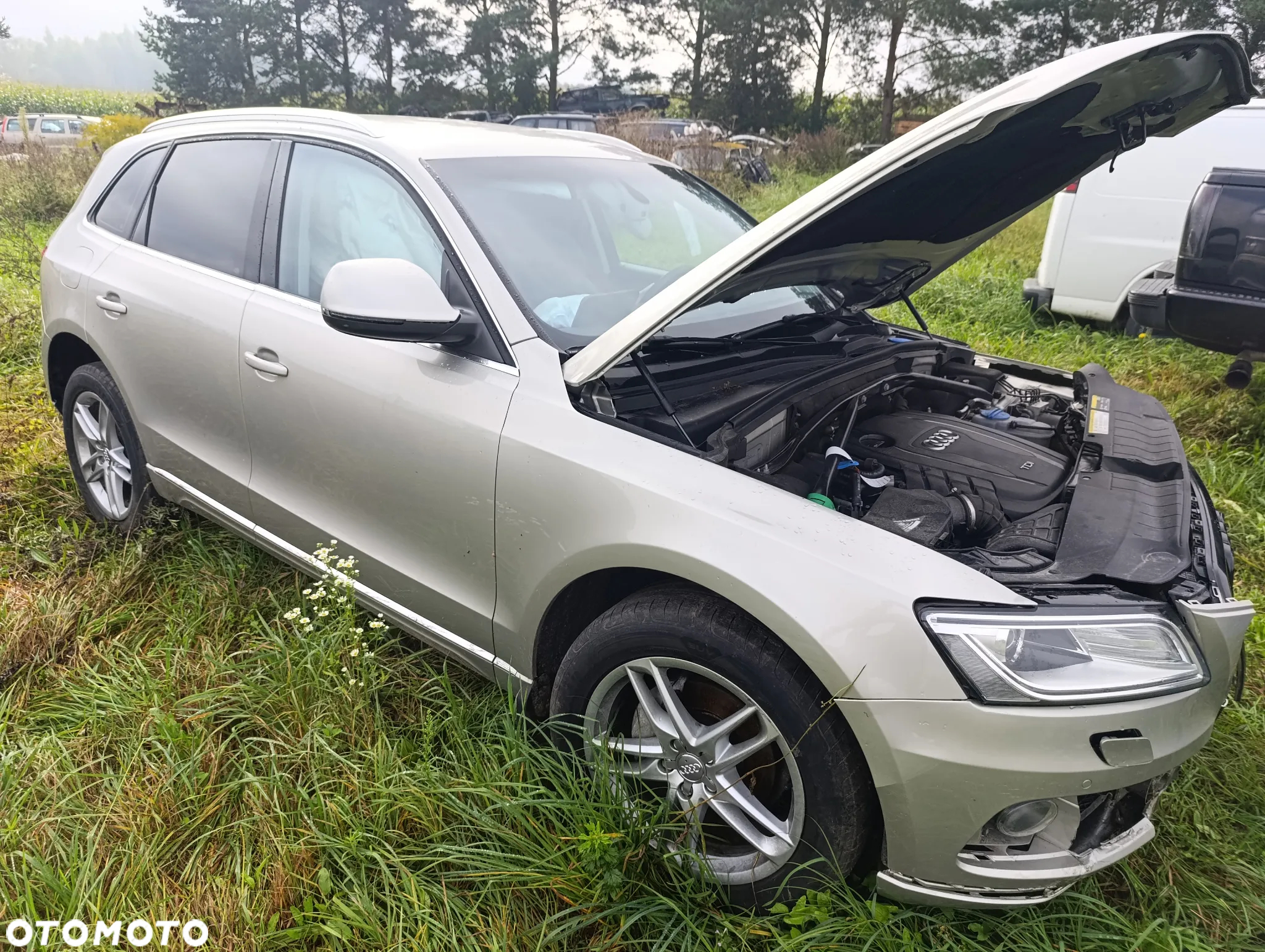 Audi Q5 2.0 TDI quattro S tronic - 15