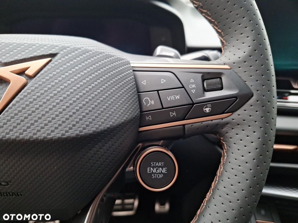Cupra Terramar - 17
