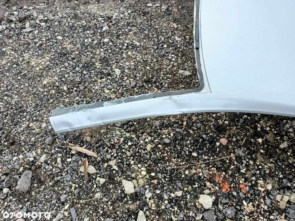 DACH RENAULT CLIO V TED69 - 4