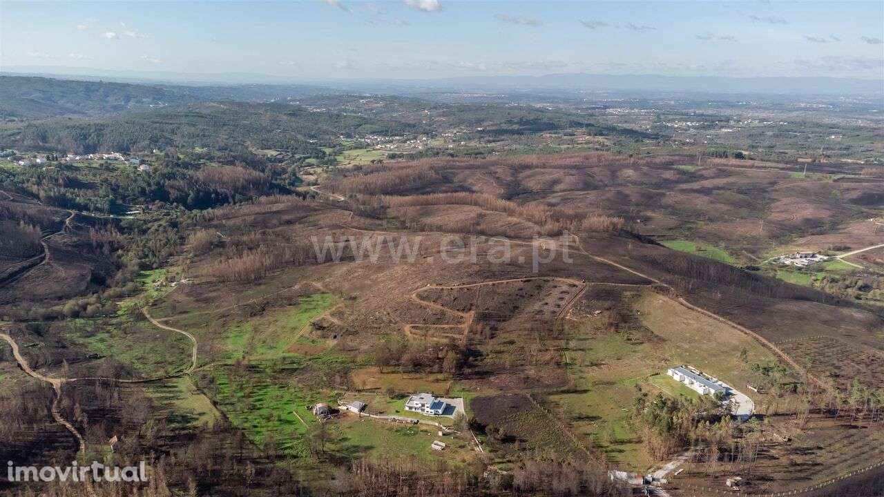 Terreno / Seia, Torrozelo e Folhadosa - Grande imagem: 2/17