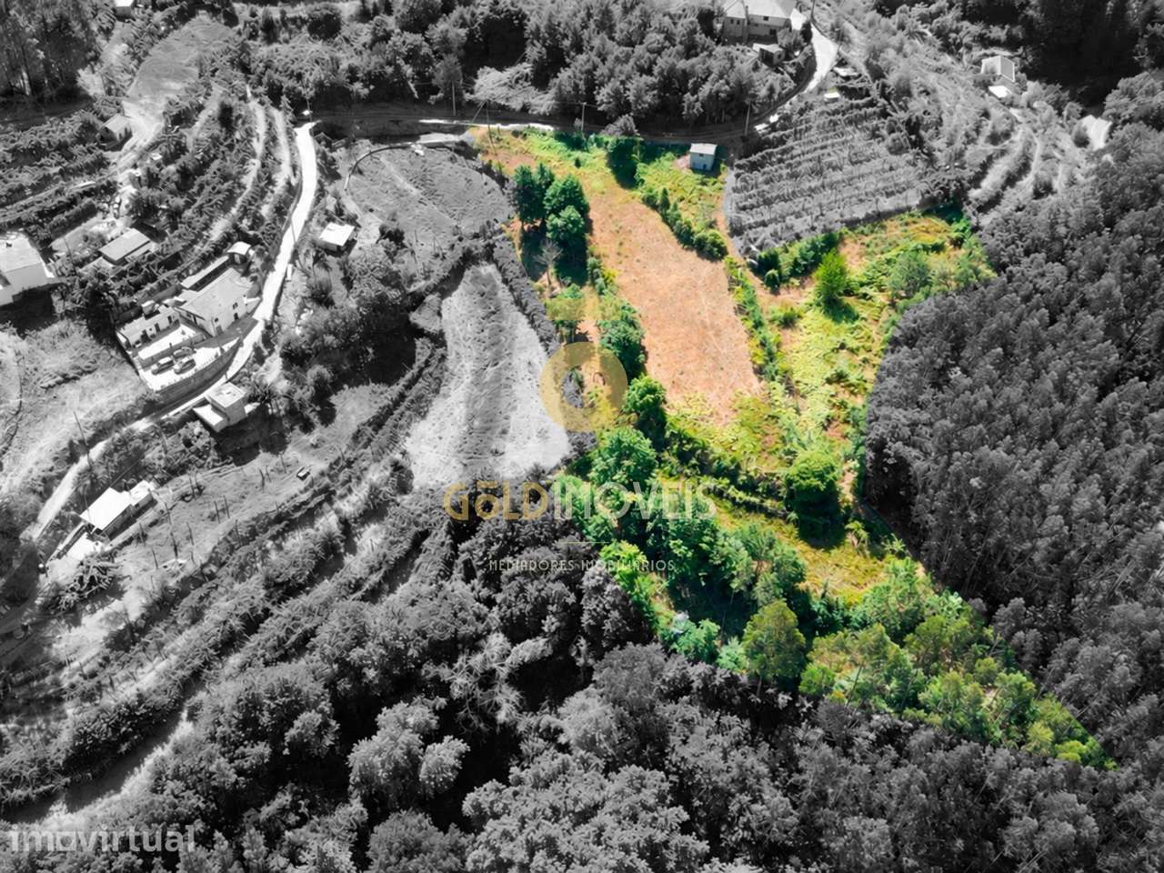 Terreno Rústico  Venda em Travanca,Cinfães - Grande imagem: 5/5