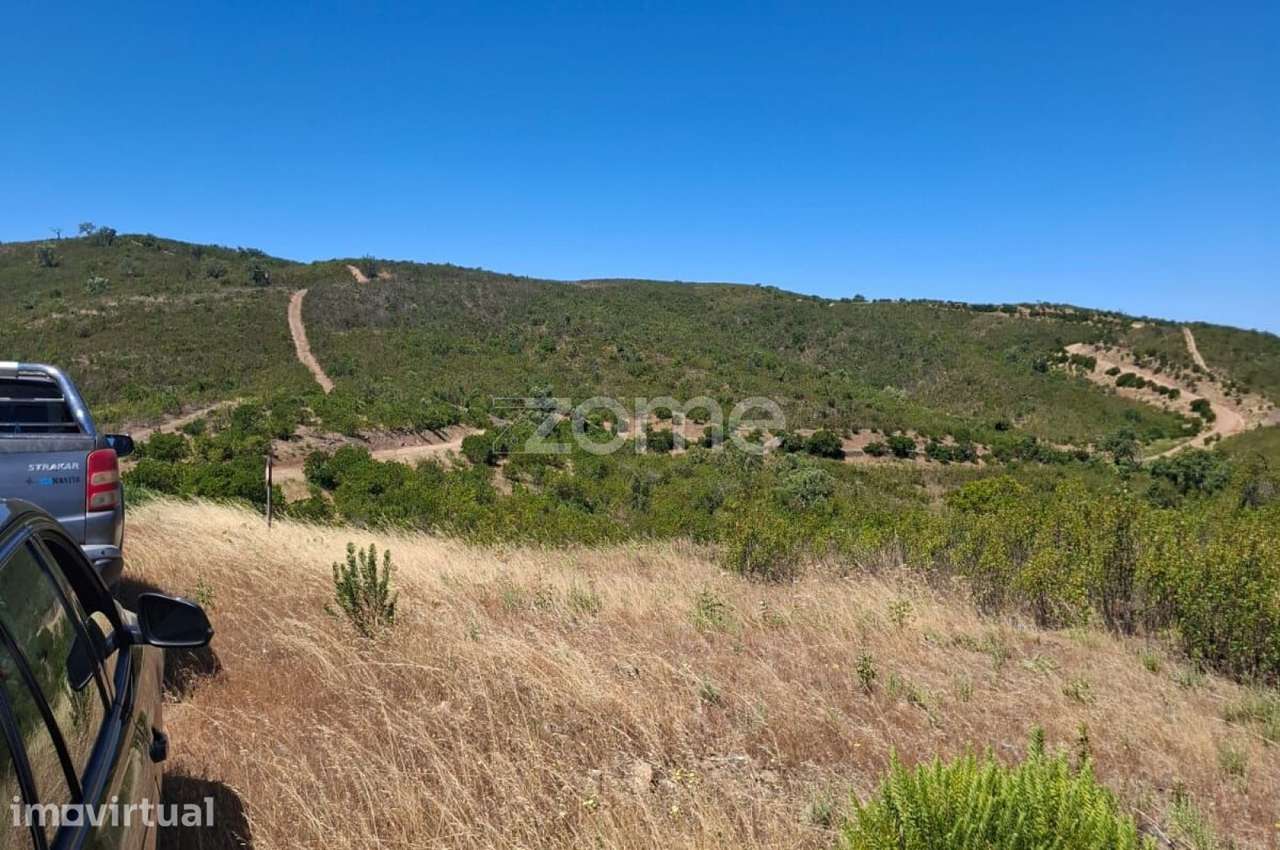 Terreno Rústico com 200.000m2 em Vale das Urzes, Salir - Grande imagem: 3/18