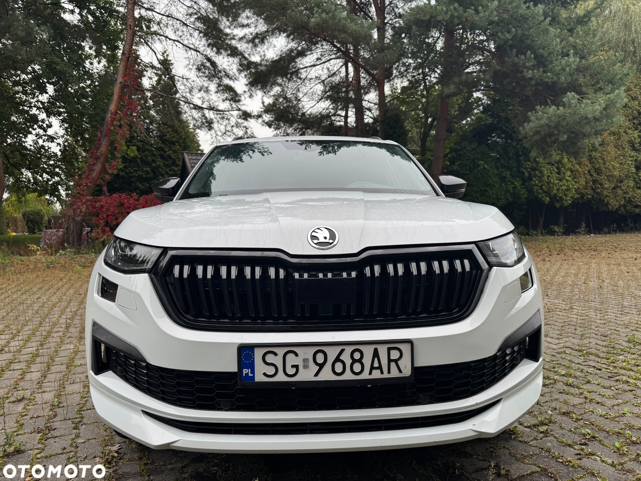 Skoda Kodiaq 2.0 TDI 4x4 Sportline DSG - 5