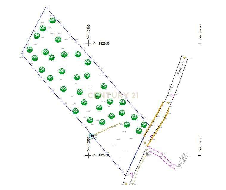 Quintinha em zona de construção H2  a 7 min centro Viseu - Grande imagem: 2/13