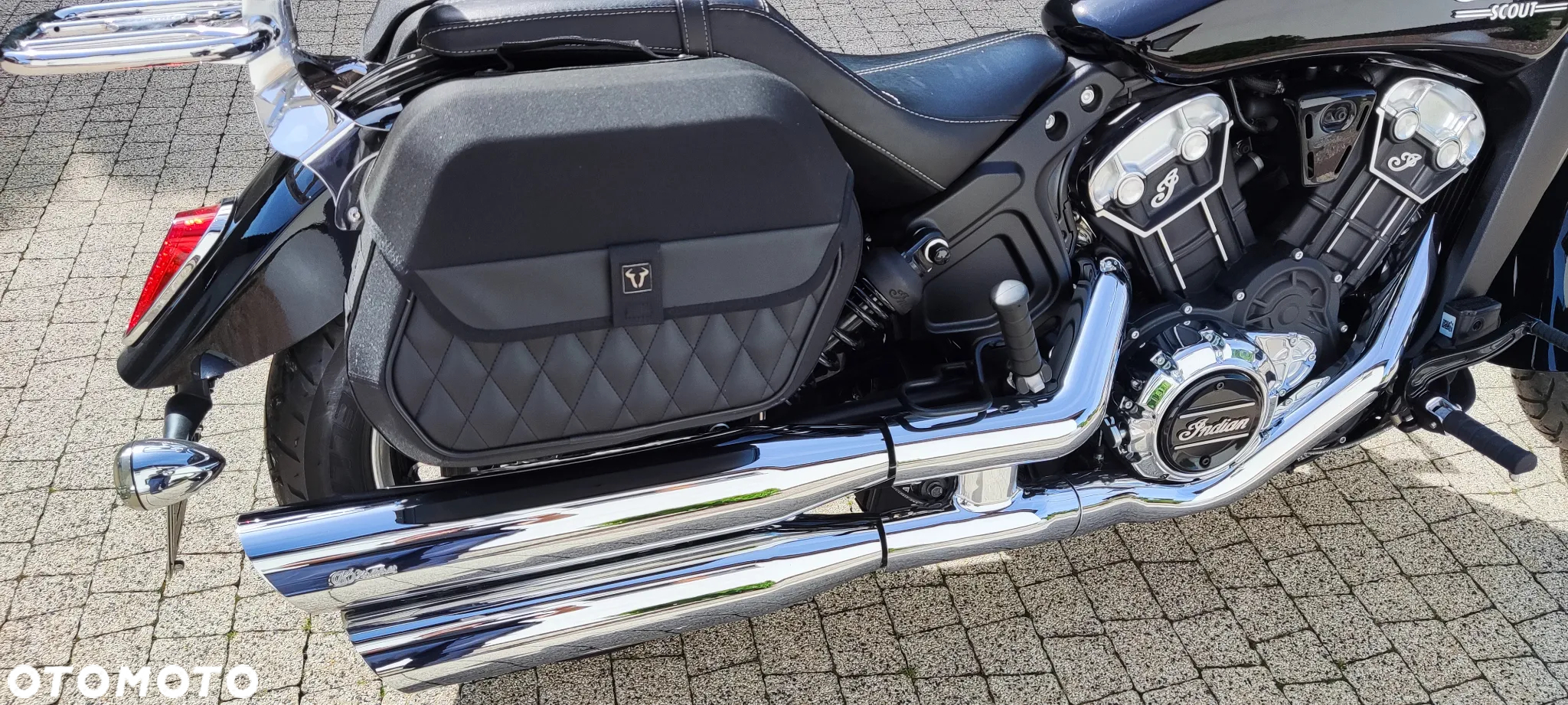 Indian Scout - 15
