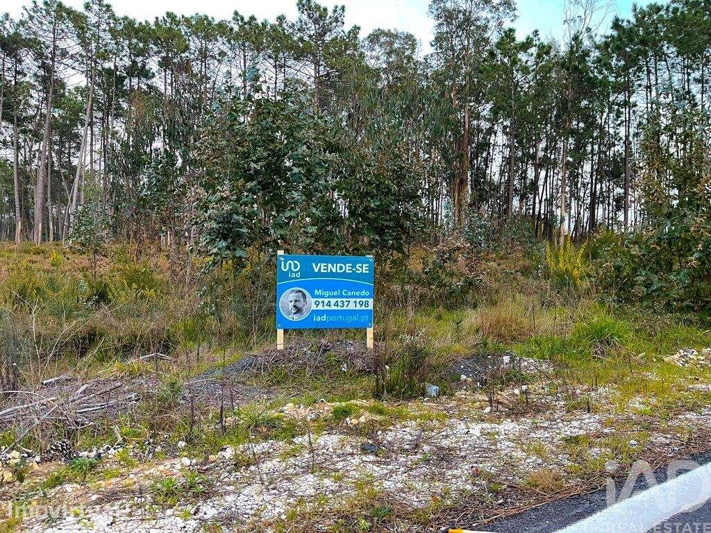 Terreno para construção em Monte Redondo e Carreira de 1260,00 m2 - Grande imagem: 5/8
