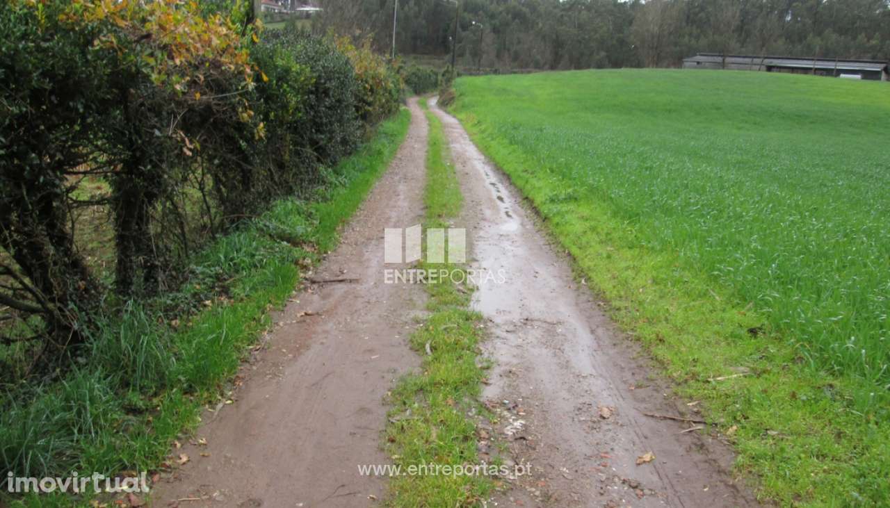 Venda de Terreno, Vilarinho das Cambas, Vila Nova de Famalicão - Grande imagem: 5/12