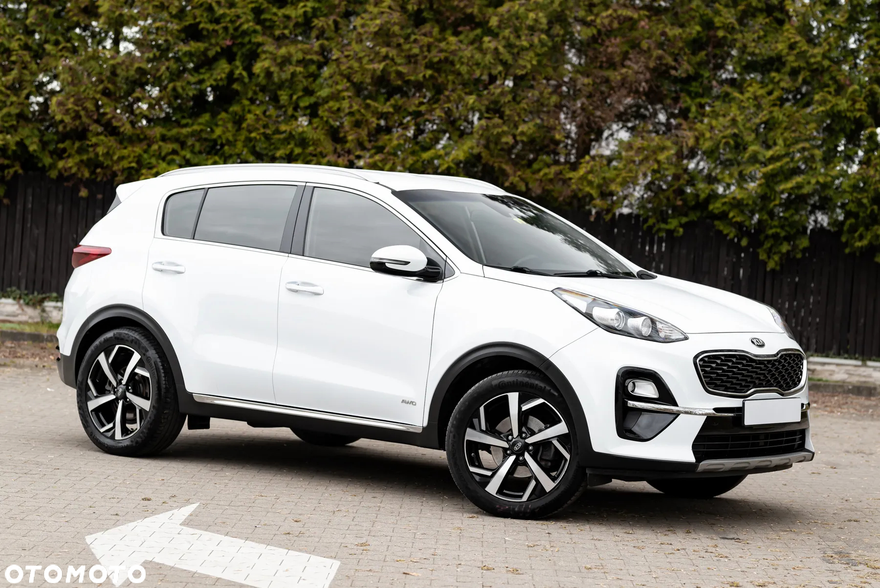 Kia Sportage 1.6 CRDI AWD Eco-Dynamics+ (48V M-H) DCT Vision - 7