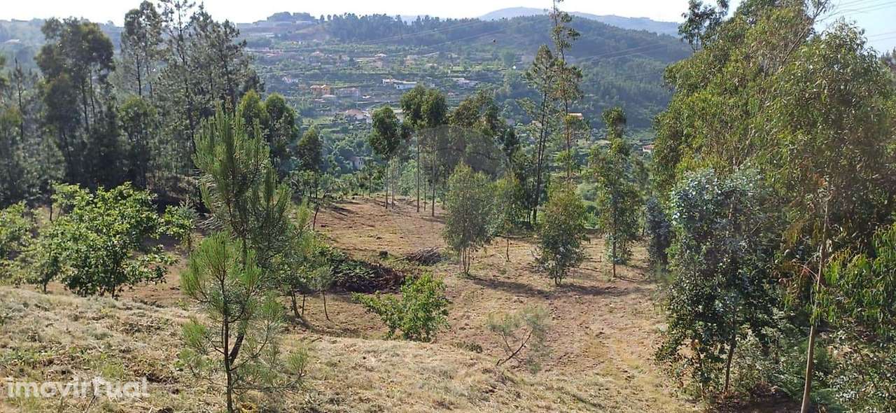 Terreno  para venda - Grande imagem: 5/11