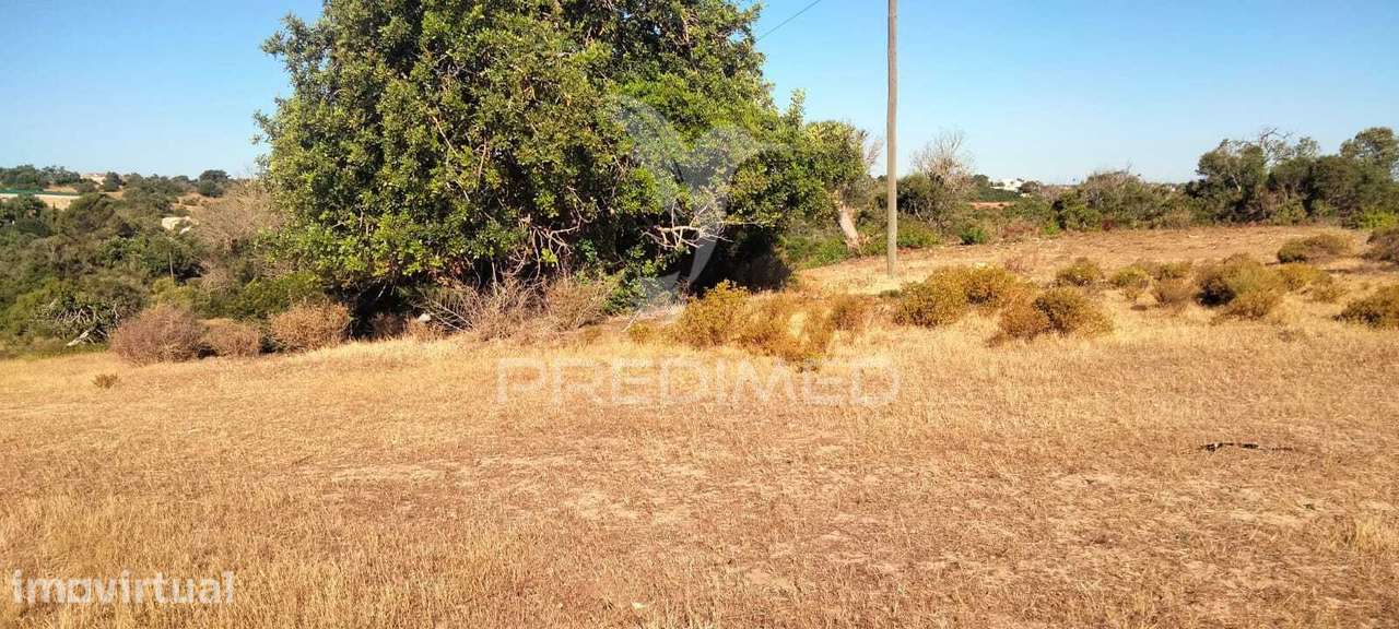 TERRENO RUSTICO A 3 KM DE ALBUFEIRA  com 16.200 m2 - Grande imagem: 2/5