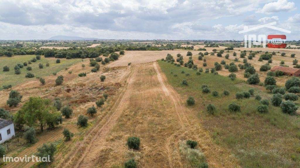 Terreno Rústico - Almoster - Oportunidade - Grande imagem: 3/3