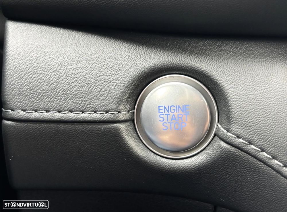 Hyundai Santa Fe 2.2 CRDi Premium - 34