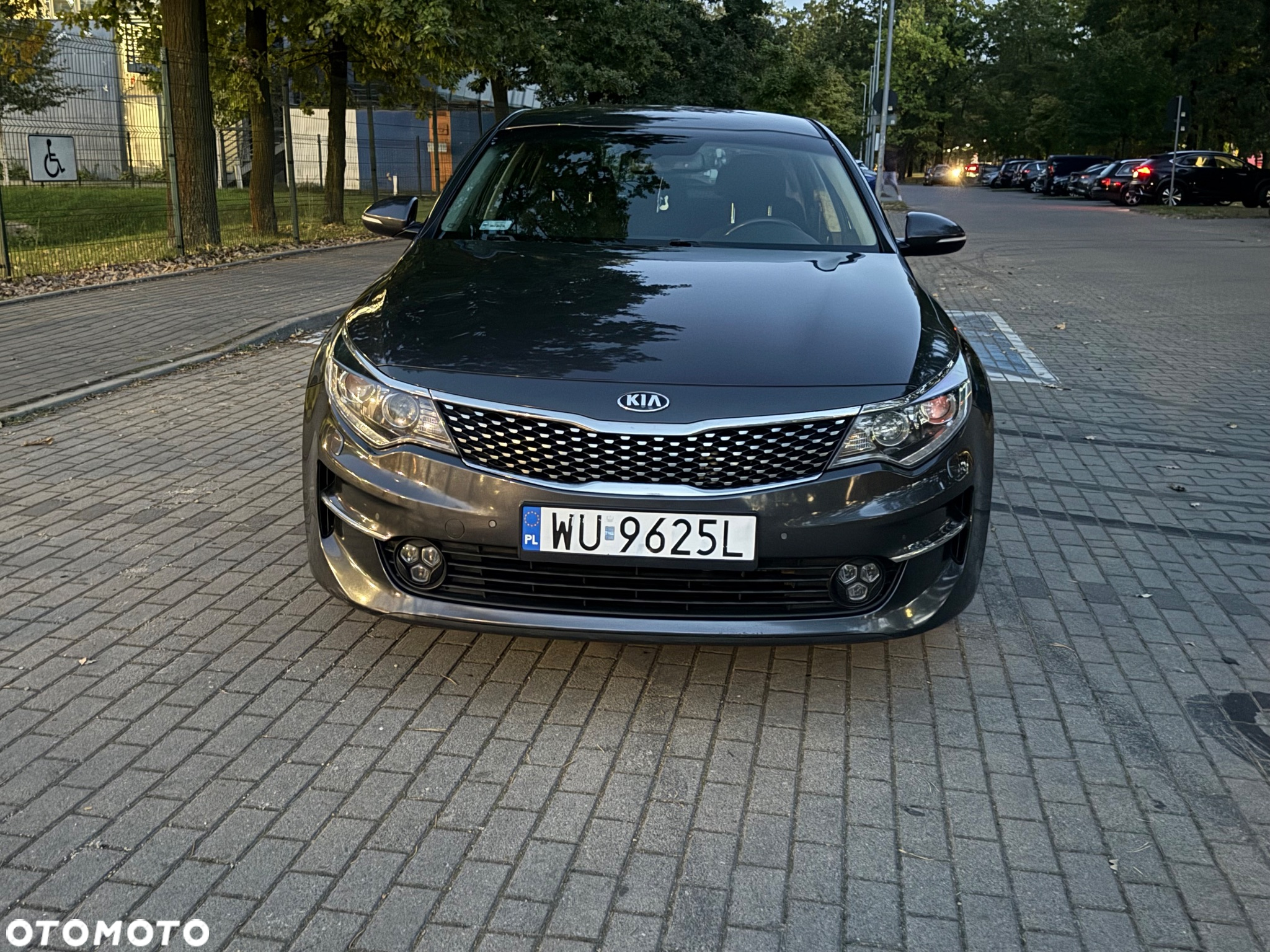 Kia Optima - 5