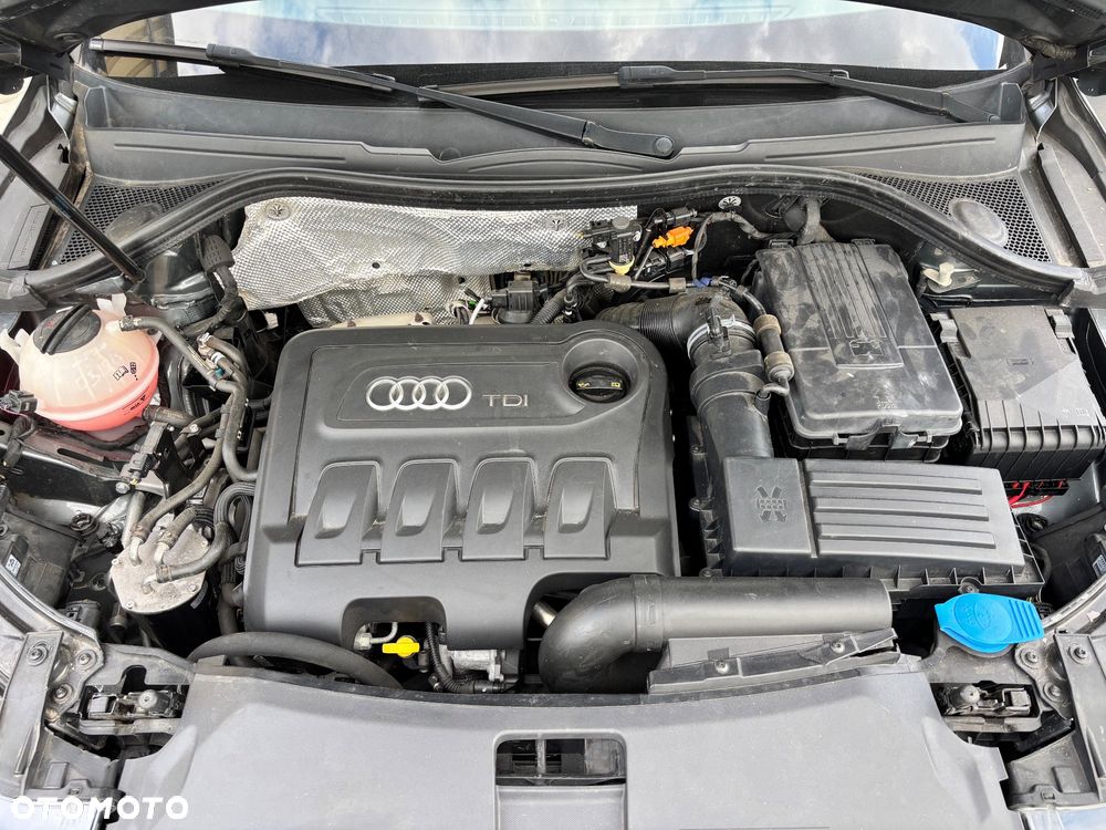 Audi Q3 2.0 TDI Quattro Edycja Specjalna - 17