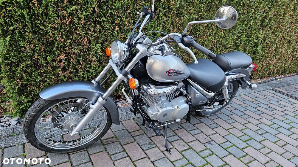 Suzuki Intruder - 10