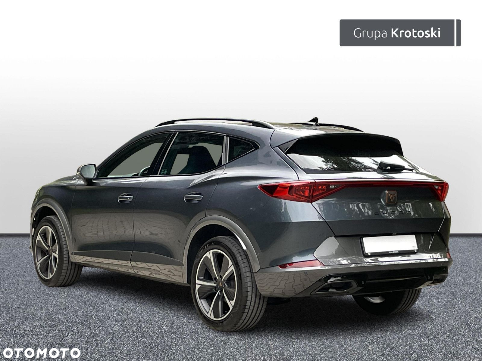 Cupra Formentor 2.0 TSI 4Drive DSG - 4