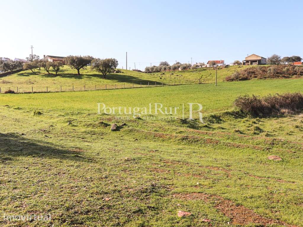 Terreno com cerca de 1,3Ha localizado próximo de Terena, Alandroal - Grande imagem: 3/14