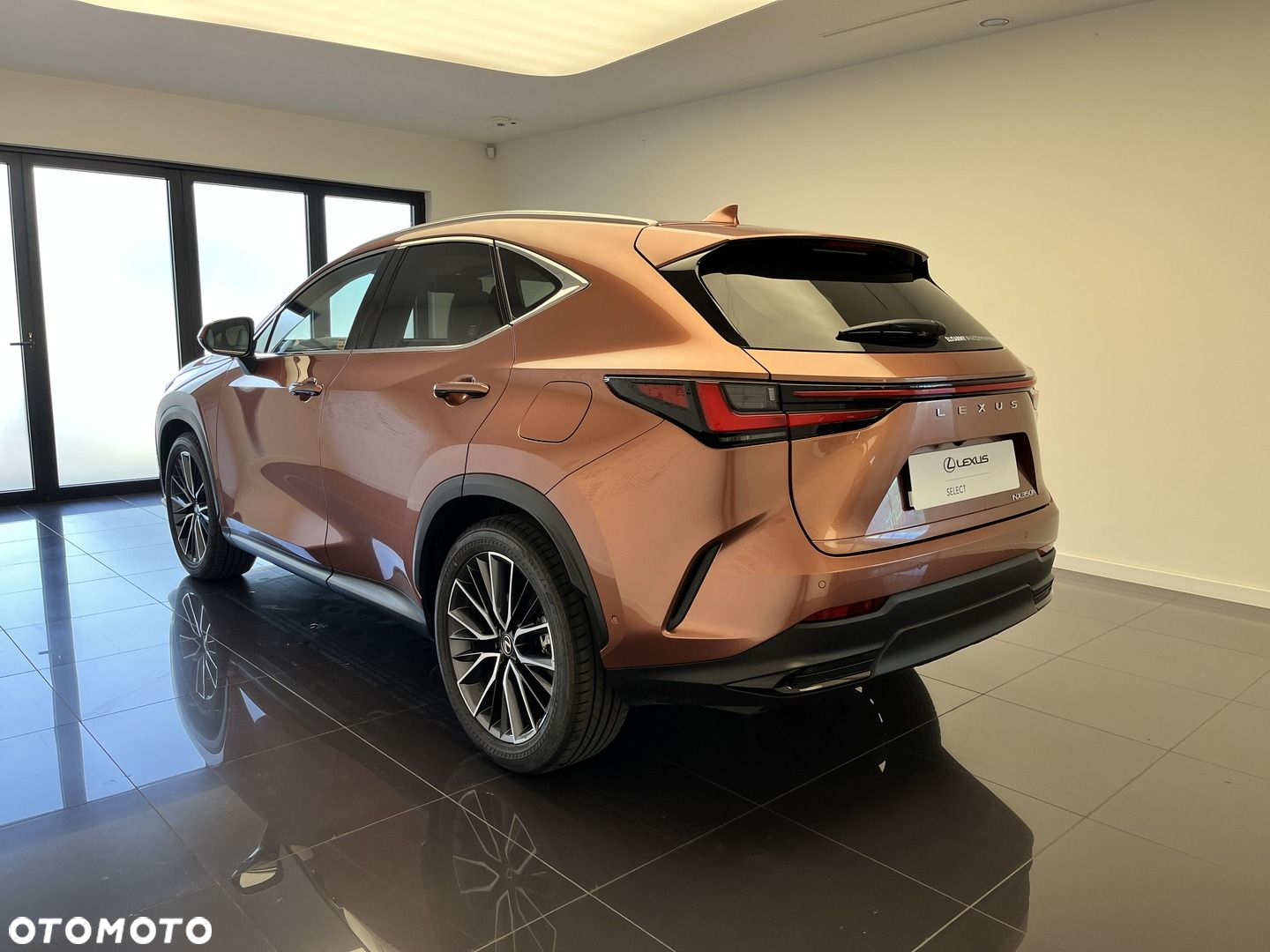 Lexus NX - 3