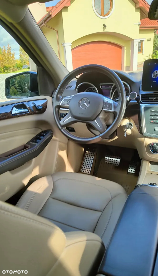 Mercedes-Benz ML 250 BlueTec 4-Matic - 19
