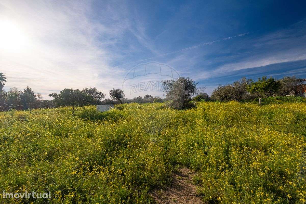 Moradia T3 para venda - Grande imagem: 2/39