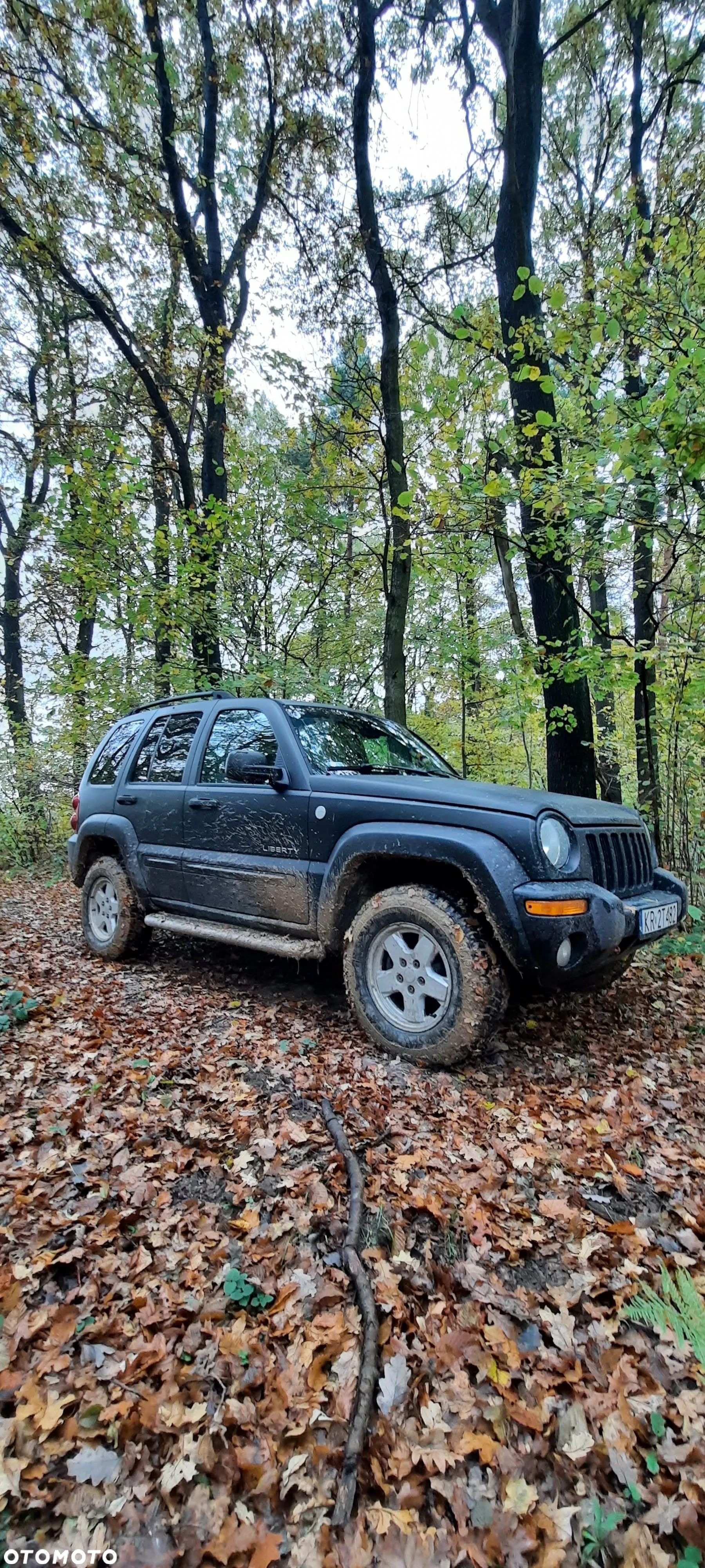 Jeep Liberty 3.7 4x4 - 1