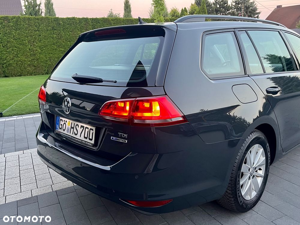 Volkswagen Golf 1.6 TDI BlueMotion Technology Lounge - 12