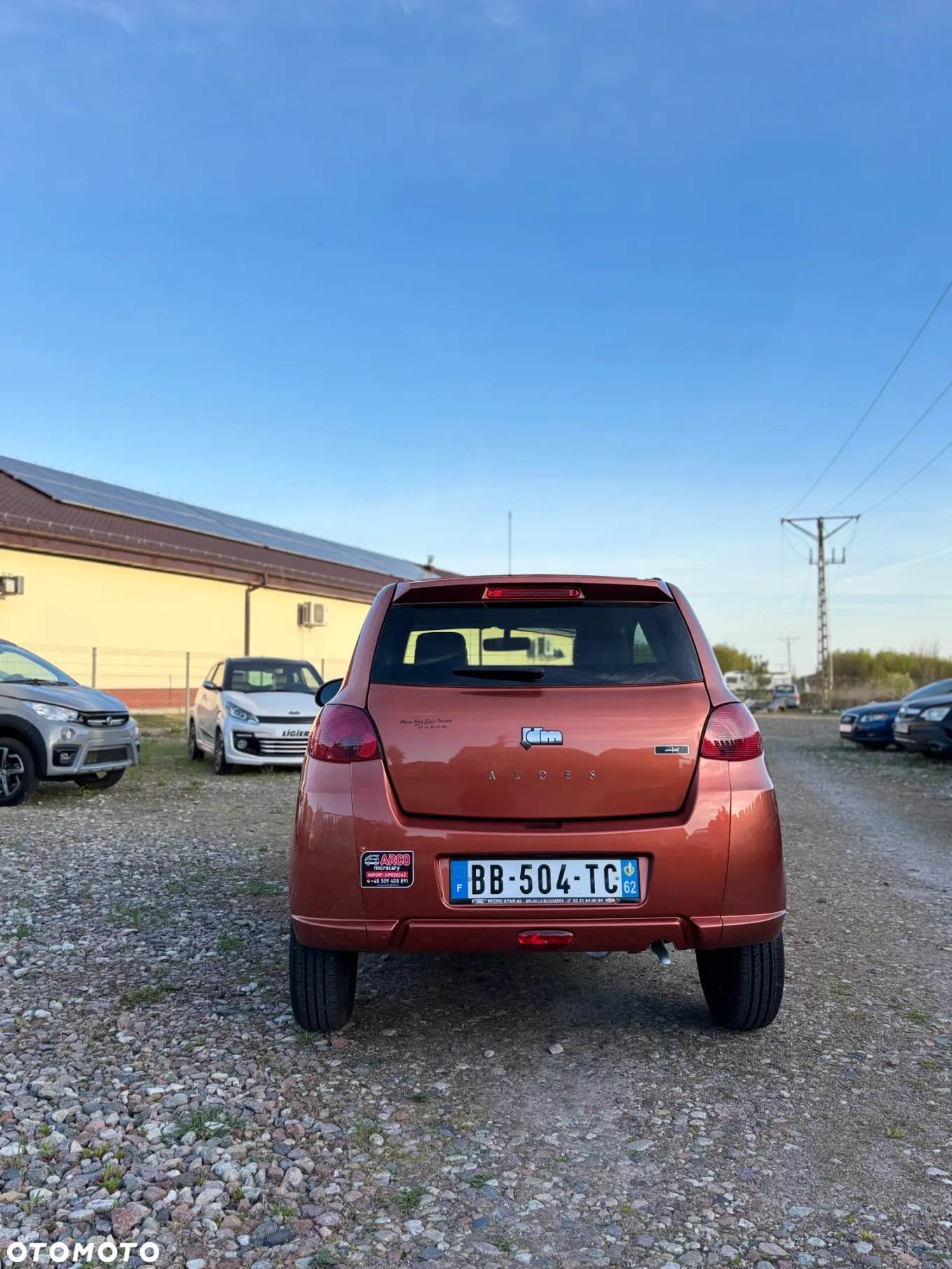 Microcar Flex - 3