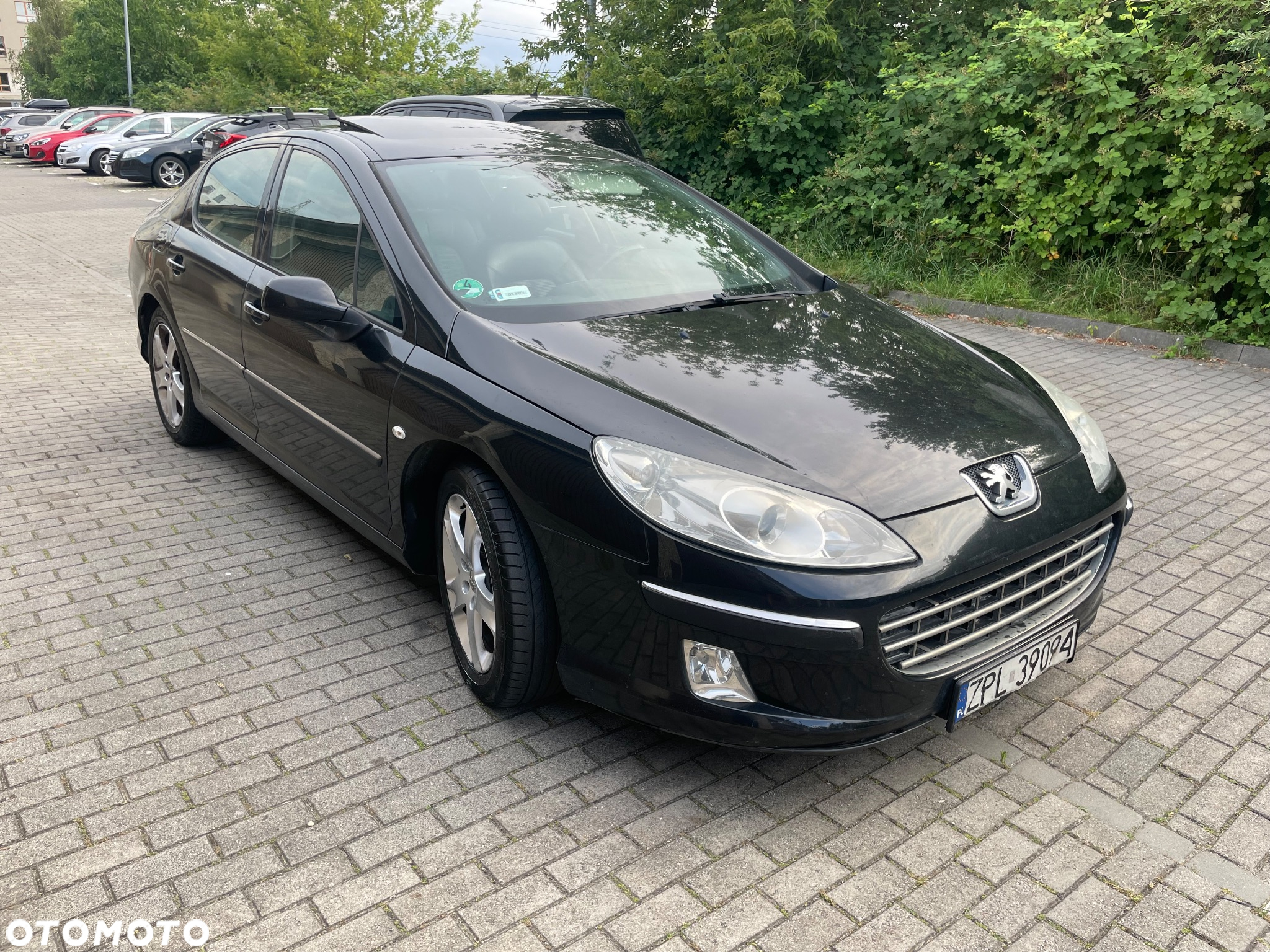 Peugeot 407 - 2
