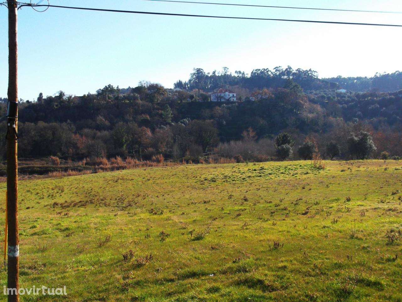 Excelente terreno Agrícola - Grande imagem: 2/3