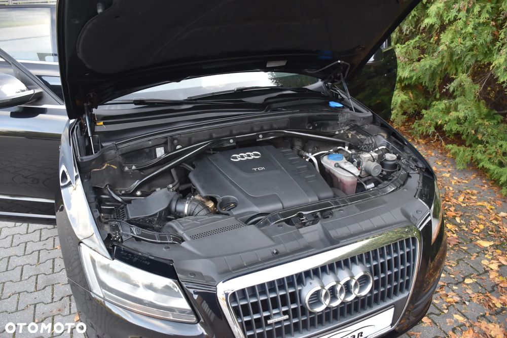 Audi Q5 - 24