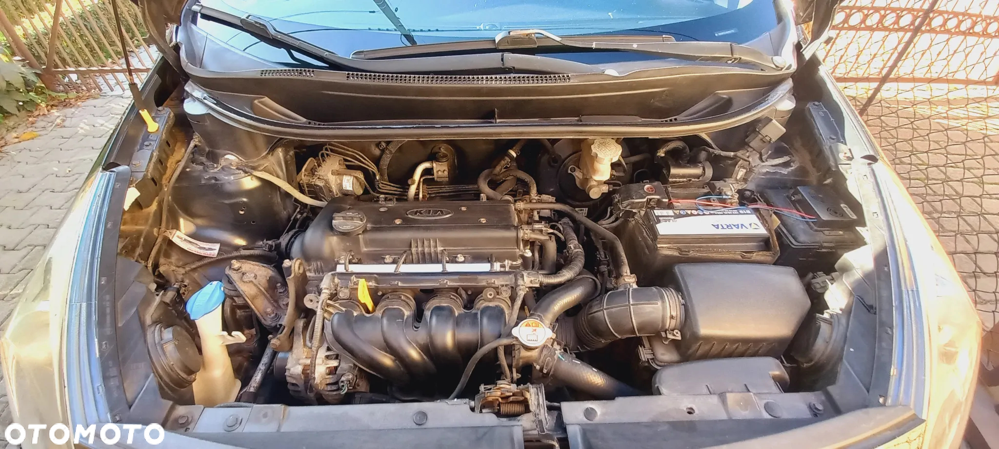 Kia Rio - 9