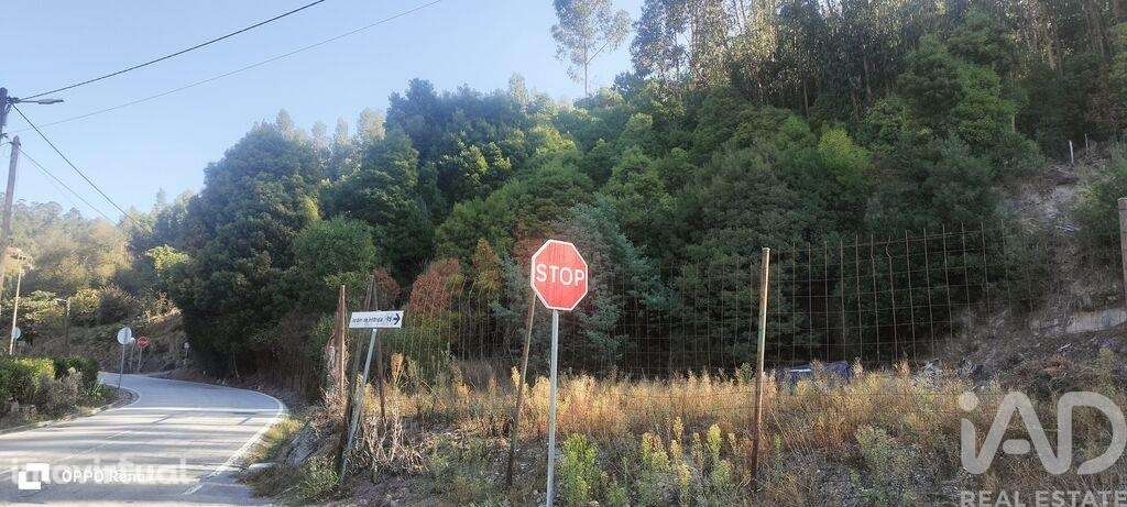 Terreno para construção em Luzim e Vila Cova de 3630,00 m2 - Grande imagem: 5/23