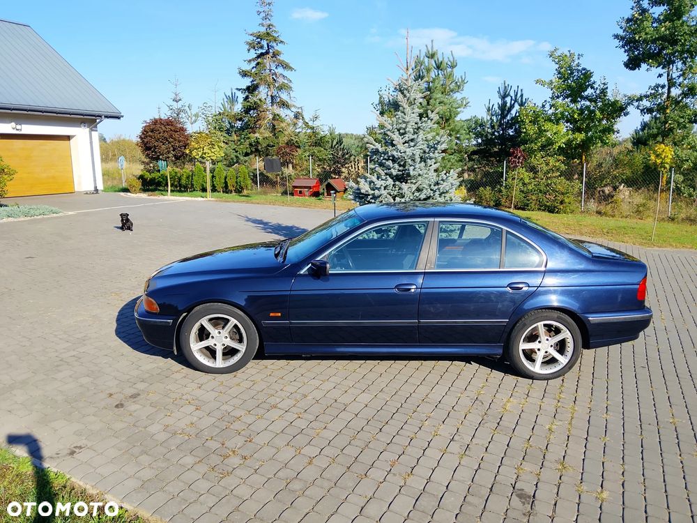BMW Seria 5 - 14