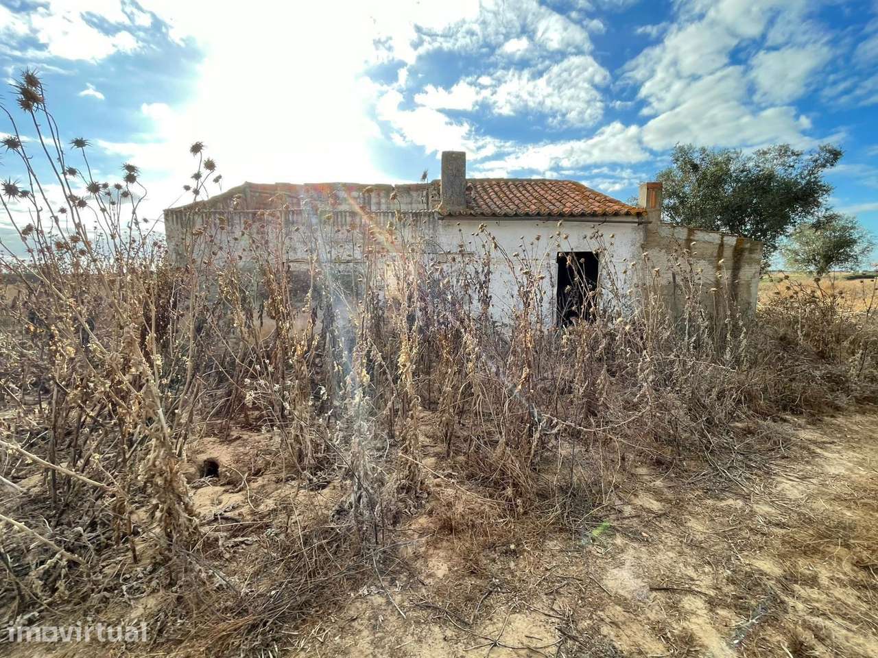 31 HECTARES DE TERRENO AGRÍCOLA, PAINEIS SOLARES ou TURISMO RURAL - Grande imagem: 4/5