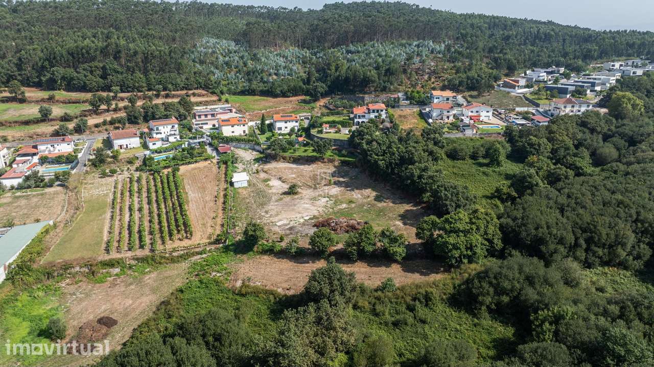 Terreno agrícola com 6044m2 em Semelhe, Braga. - Grande imagem: 4/15