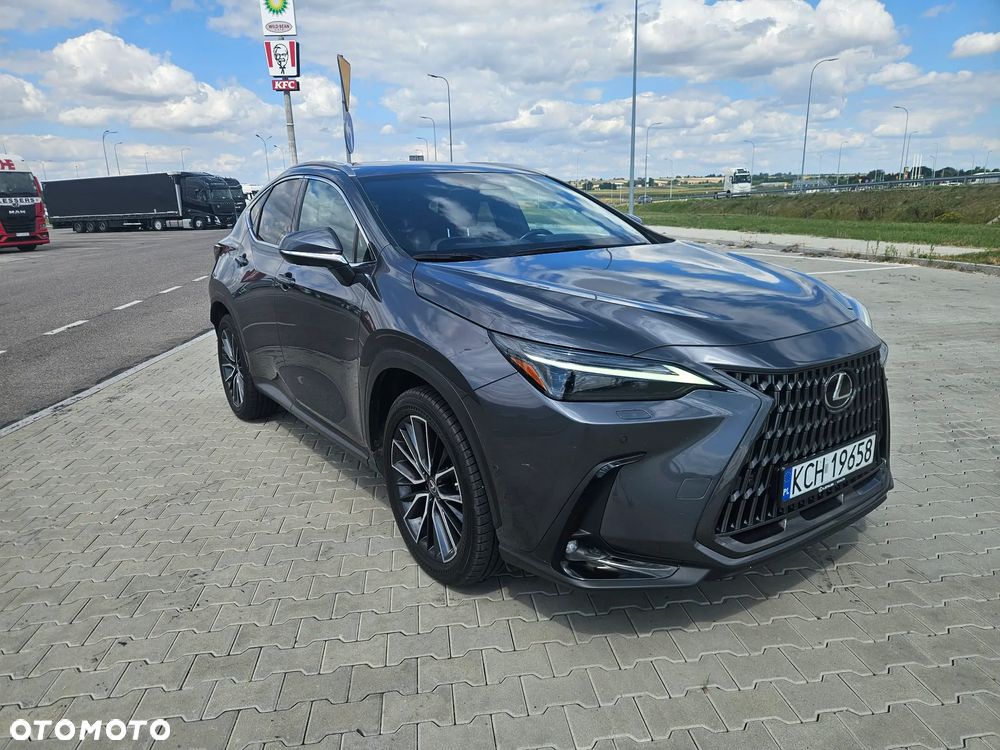 Lexus NX 450h+ Omotenashi AWD - 7